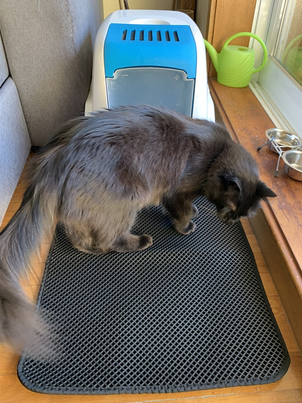 Double Layer Cat Mat - Goodly Variety Store