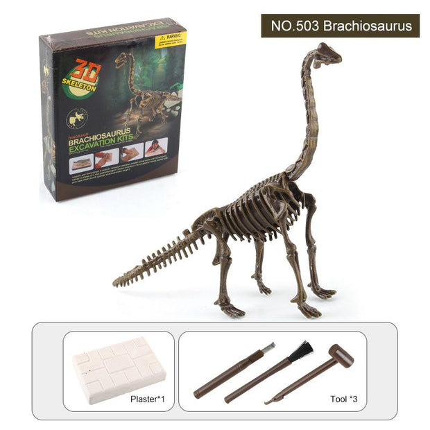 Dinosaur Fossil Excavation Kits Children Figure Skeleton Model Gift - Goodly Variety Store